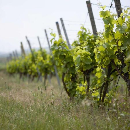 Weingut Schilling Hotel Seinsheim Ngoại thất bức ảnh