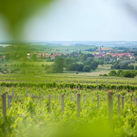 Weingut Schilling Hotel Seinsheim Ngoại thất bức ảnh