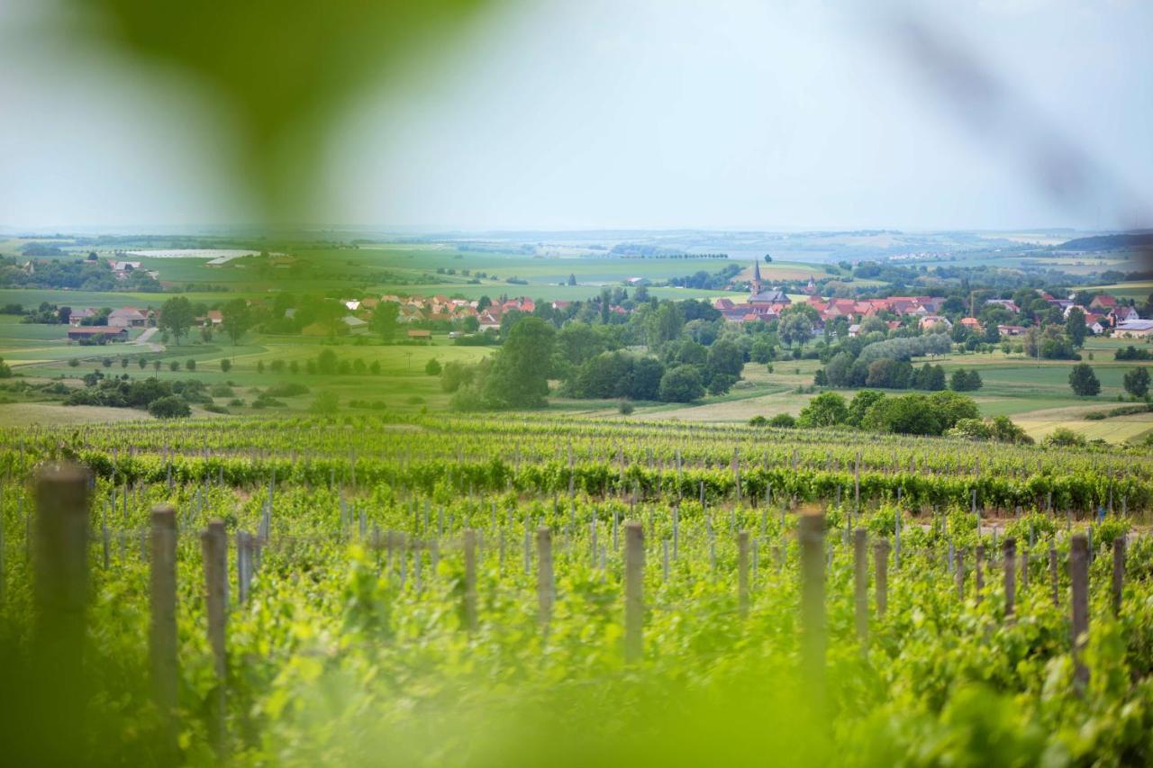 Weingut Schilling Hotel Seinsheim Ngoại thất bức ảnh
